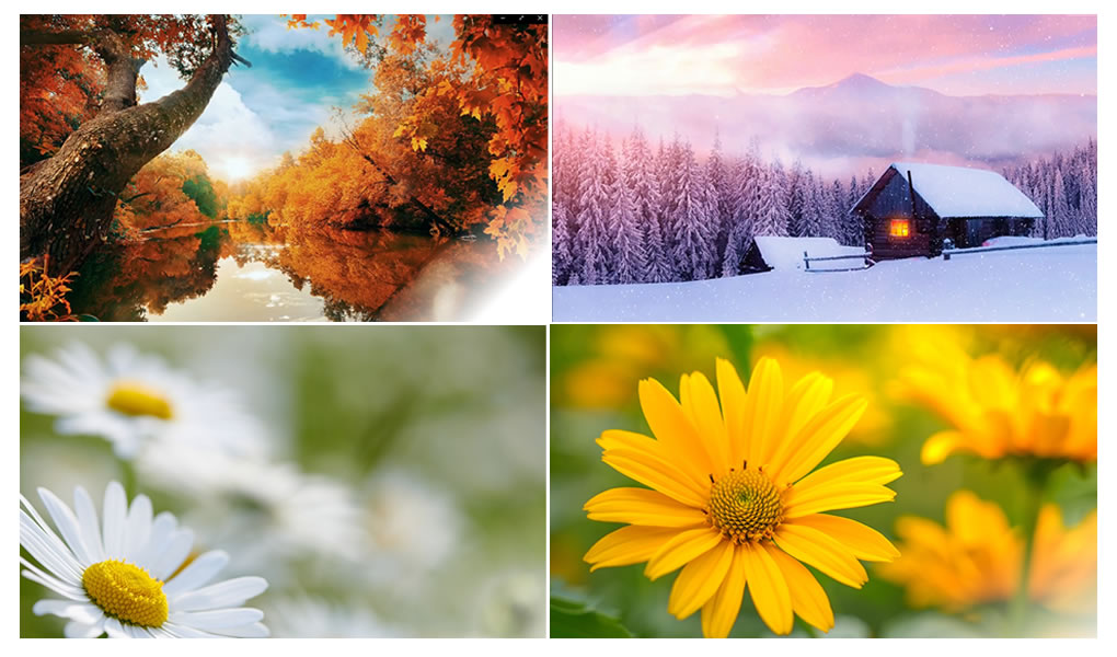 Through the Seasons